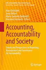 E-Book (pdf) Accounting, Accountability and Society von 
