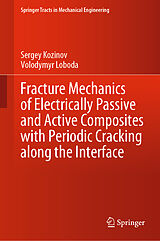 eBook (pdf) Fracture Mechanics of Electrically Passive and Active Composites with Periodic Cracking along the Interface de Sergey Kozinov, Volodymyr Loboda