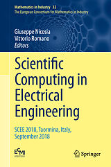 E-Book (pdf) Scientific Computing in Electrical Engineering von 