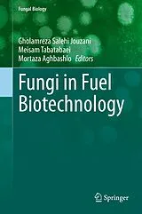 Fester Einband Fungi in Fuel Biotechnology von