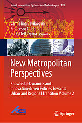 eBook (pdf) New Metropolitan Perspectives de 