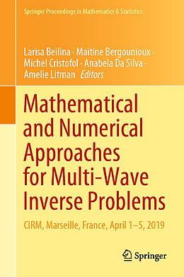 Fester Einband Mathematical and Numerical Approaches for Multi-Wave Inverse Problems von 