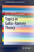 E-Book (pdf) Topics in Gallai-Ramsey Theory von Colton Magnant, Pouria Salehi Nowbandegani
