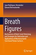 E-Book (pdf) Breath Figures von Juan Rodríguez-Hernández, Edward Bormashenko