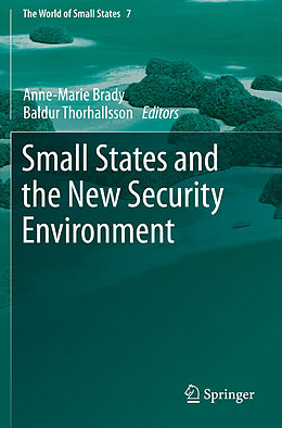 Couverture cartonnée Small States and the New Security Environment de 