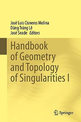 Fester Einband Handbook of Geometry and Topology of Singularities I von 
