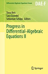 eBook (pdf) Progress in Differential-Algebraic Equations II de 