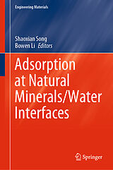 eBook (pdf) Adsorption at Natural Minerals/Water Interfaces de 