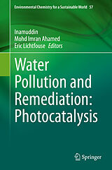 eBook (pdf) Water Pollution and Remediation: Photocatalysis de 