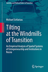 eBook (pdf) Tilting at the Windmills of Transition de Michael Schlattau