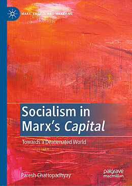 E-Book (pdf) Socialism in Marx's Capital von Paresh Chattopadhyay