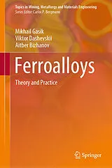 E-Book (pdf) Ferroalloys von Mikhail Gasik, Viktor Dashevskii, Aitber Bizhanov