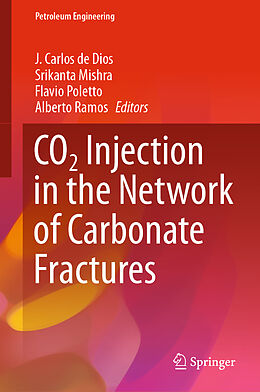 Livre Relié CO2 Injection in the Network of Carbonate Fractures de 