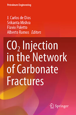 Couverture cartonnée CO2 Injection in the Network of Carbonate Fractures de 