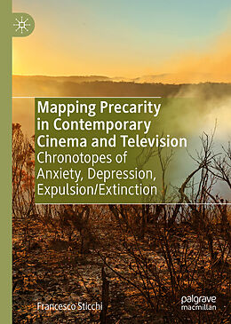 Livre Relié Mapping Precarity in Contemporary Cinema and Television de Francesco Sticchi