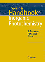 eBook (pdf) Springer Handbook of Inorganic Photochemistry de 