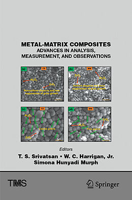 Couverture cartonnée Metal-Matrix Composites de 
