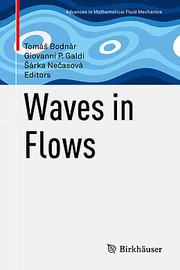 Fester Einband Waves in Flows von 