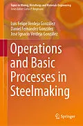 E-Book (pdf) Operations and Basic Processes in Steelmaking von Luis Felipe Verdeja González, Daniel Fernández González, José Ignacio Verdeja González