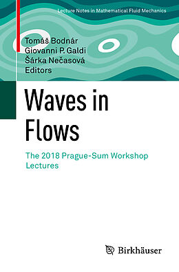 E-Book (pdf) Waves in Flows von 