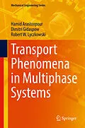 E-Book (pdf) Transport Phenomena in Multiphase Systems von Hamid Arastoopour, Dimitri Gidaspow, Robert W. Lyczkowski