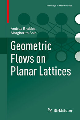 Livre Relié Geometric Flows on Planar Lattices de Margherita Solci, Andrea Braides
