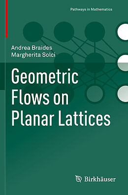 Couverture cartonnée Geometric Flows on Planar Lattices de Margherita Solci, Andrea Braides