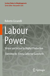 Couverture cartonnée Labour Power de Roberto Ciccarelli