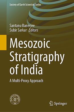 Livre Relié Mesozoic Stratigraphy of India de 