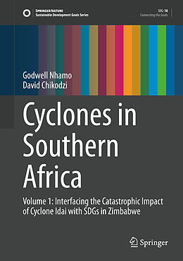 Fester Einband Cyclones in Southern Africa von David Chikodzi, Godwell Nhamo