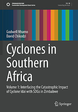 Kartonierter Einband Cyclones in Southern Africa von David Chikodzi, Godwell Nhamo