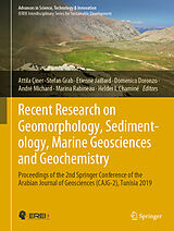 eBook (pdf) Recent Research on Geomorphology, Sedimentology, Marine Geosciences and Geochemistry de 