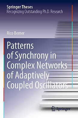 Kartonierter Einband Patterns of Synchrony in Complex Networks of Adaptively Coupled Oscillators von Rico Berner
