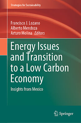 Livre Relié Energy Issues and Transition to a Low Carbon Economy de 