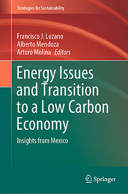 eBook (pdf) Energy Issues and Transition to a Low Carbon Economy de 