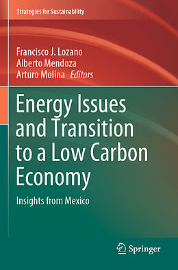 Couverture cartonnée Energy Issues and Transition to a Low Carbon Economy de 