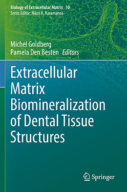 Couverture cartonnée Extracellular Matrix Biomineralization of Dental Tissue Structures de 