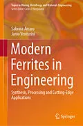 E-Book (pdf) Modern Ferrites in Engineering von Sabrina Arcaro, Janio Venturini