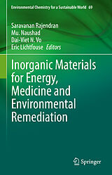 eBook (pdf) Inorganic Materials for Energy, Medicine and Environmental Remediation de 