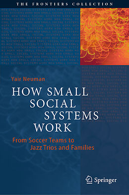 Fester Einband How Small Social Systems Work von Yair Neuman