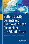 E-Book (pdf) Bottom Gravity Currents and Overflows in Deep Channels of the Atlantic Ocean von Eugene G. Morozov, Roman Y. Tarakanov, Dmitry I. Frey