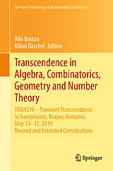 eBook (pdf) Transcendence in Algebra, Combinatorics, Geometry and Number Theory de 