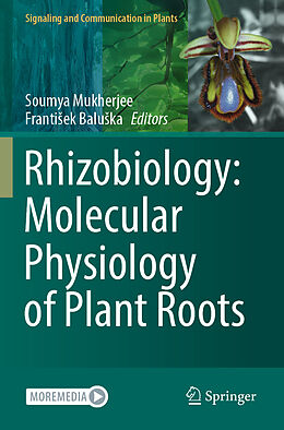 Kartonierter Einband Rhizobiology: Molecular Physiology of Plant Roots von 
