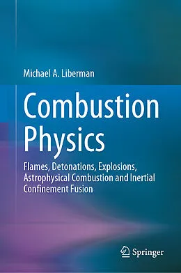 E-Book (pdf) Combustion Physics von Michael A. Liberman