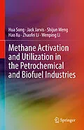 E-Book (pdf) Methane Activation and Utilization in the Petrochemical and Biofuel Industries von Hua Song, Jack Jarvis, Shijun Meng