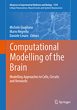 Livre Relié Computational Modelling of the Brain de 