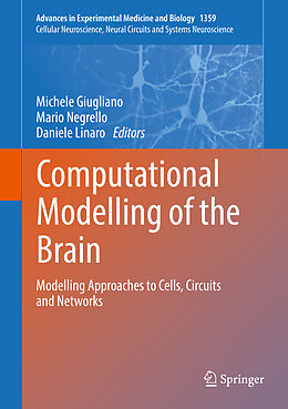 Fester Einband Computational Modelling of the Brain von 