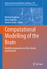 eBook (pdf) Computational Modelling of the Brain de 