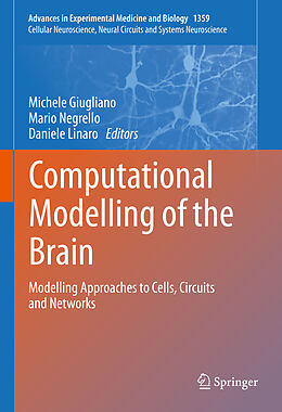 E-Book (pdf) Computational Modelling of the Brain von 