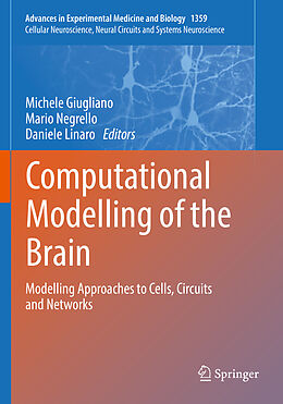 Kartonierter Einband Computational Modelling of the Brain von 